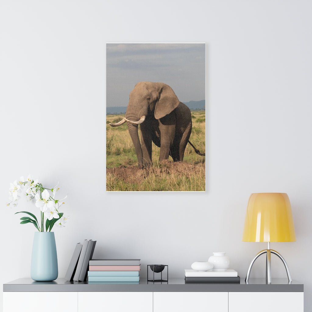 Elephant Stance - Canvas - Visiting This World