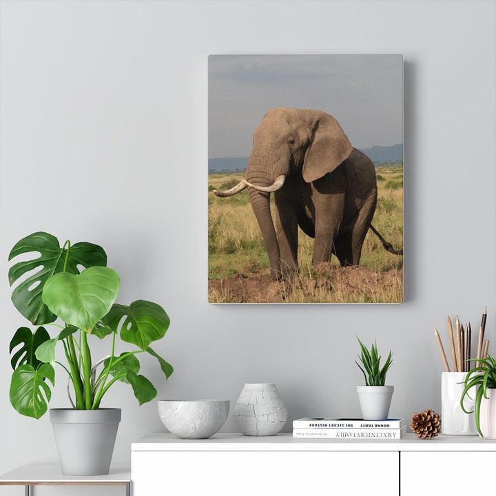 Elephant Stance - Canvas - Visiting This World