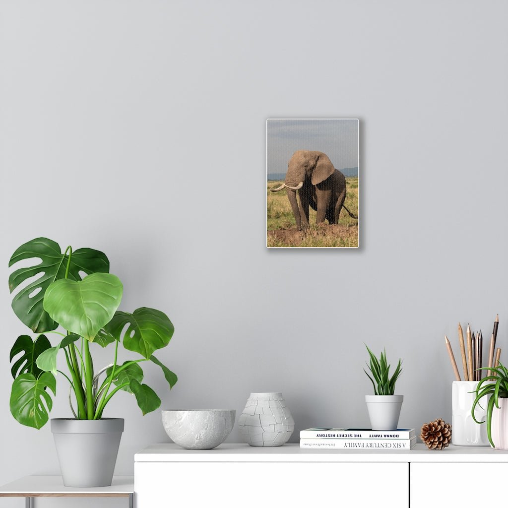 Elephant Stance - Canvas - Visiting This World