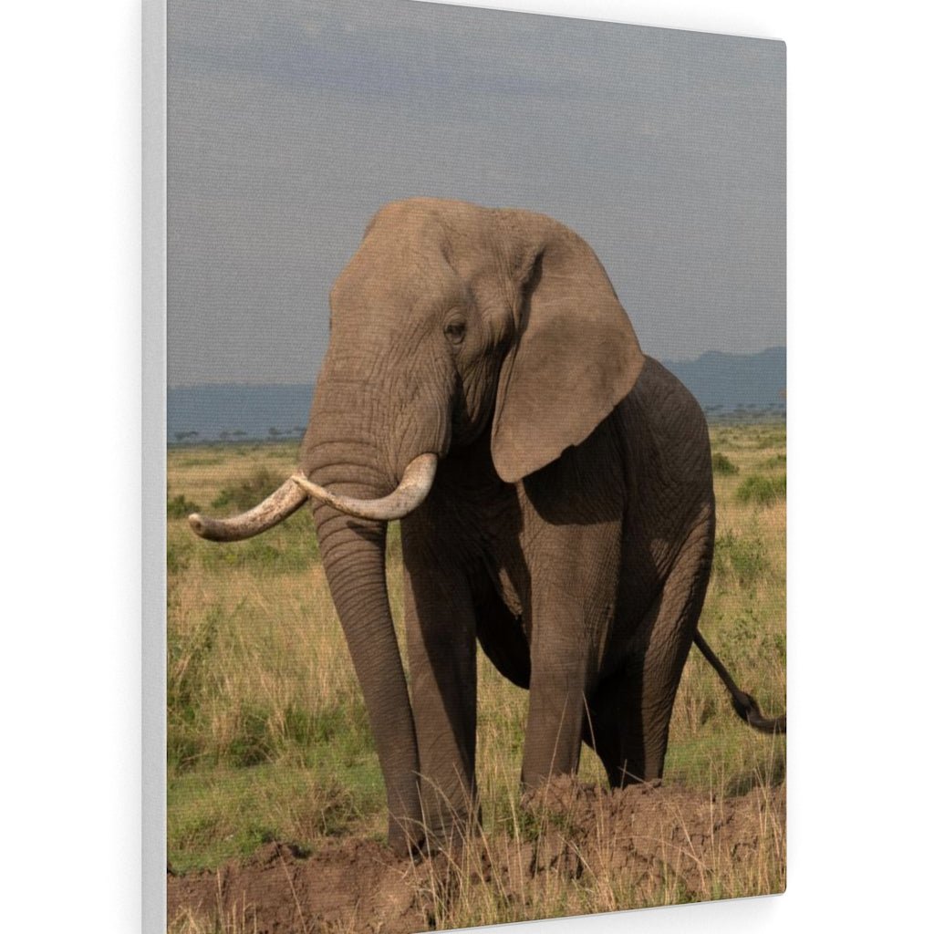 Elephant Stance - Canvas - Visiting This World