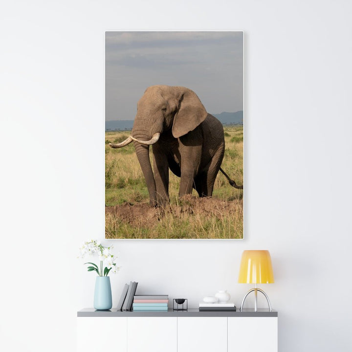 Elephant Stance - Canvas - Visiting This World