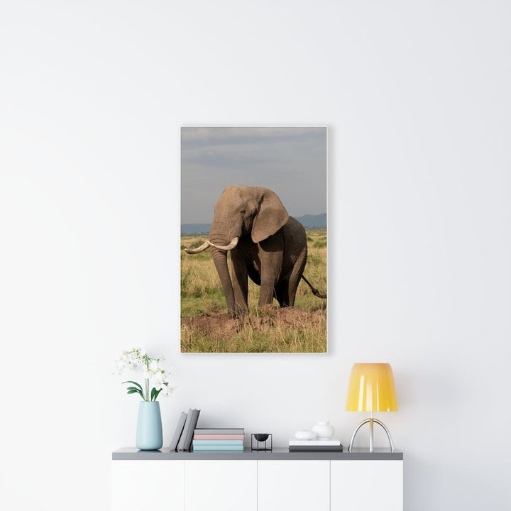 Elephant Stance - Canvas - Visiting This World