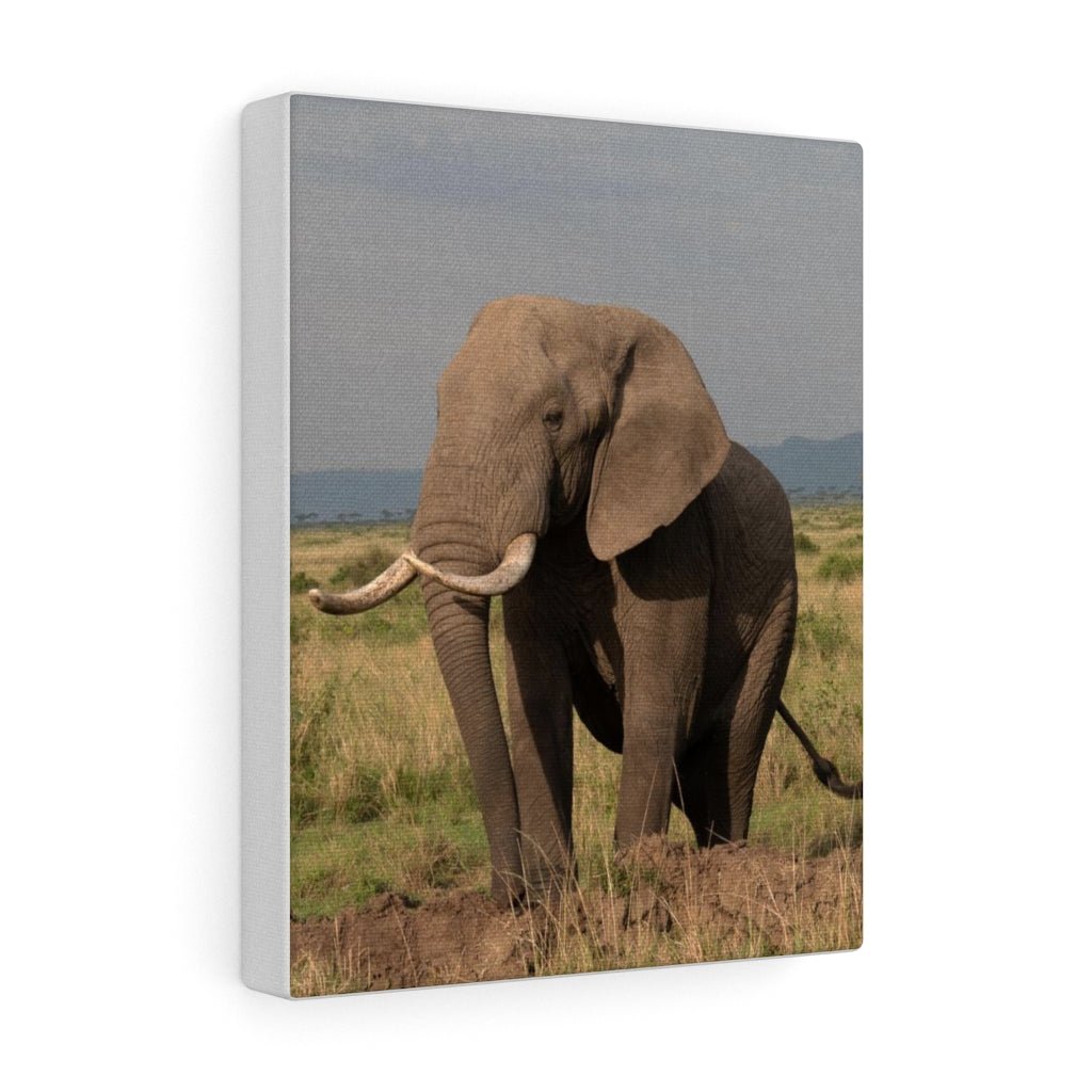 Elephant Stance - Canvas - Visiting This World