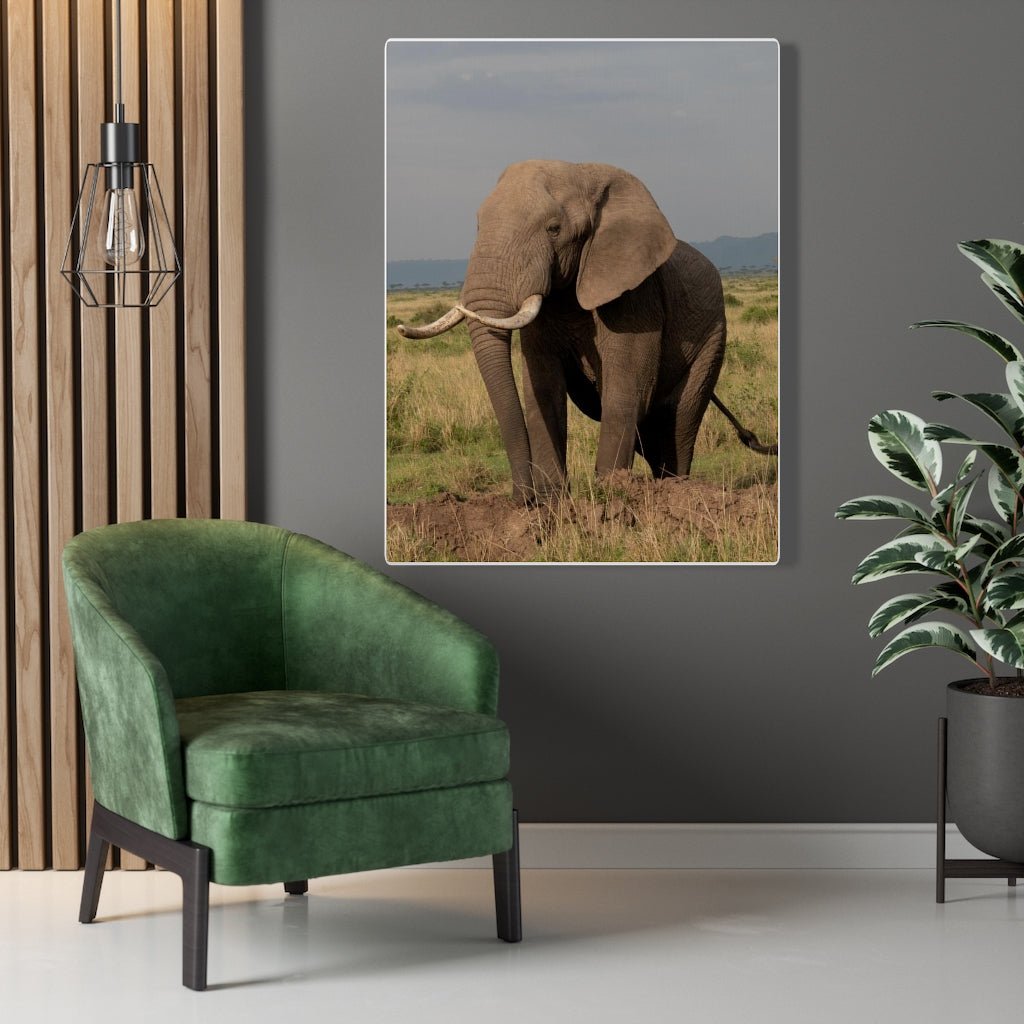 Elephant Stance - Canvas - Visiting This World