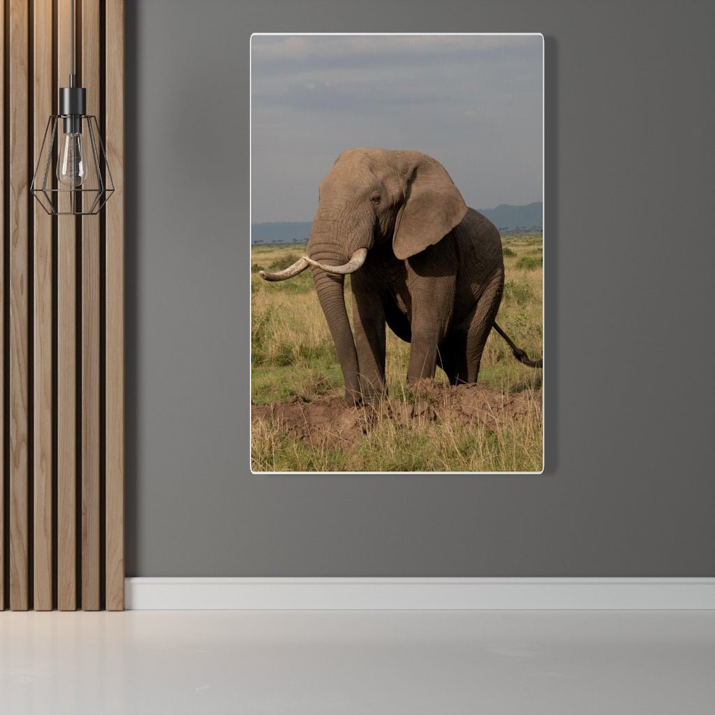 Elephant Stance - Canvas - Visiting This World