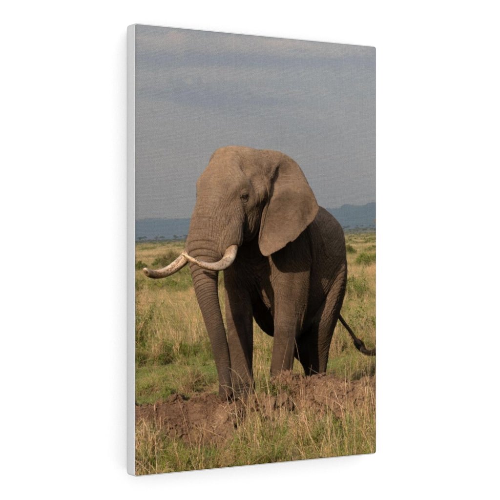 Elephant Stance - Canvas - Visiting This World