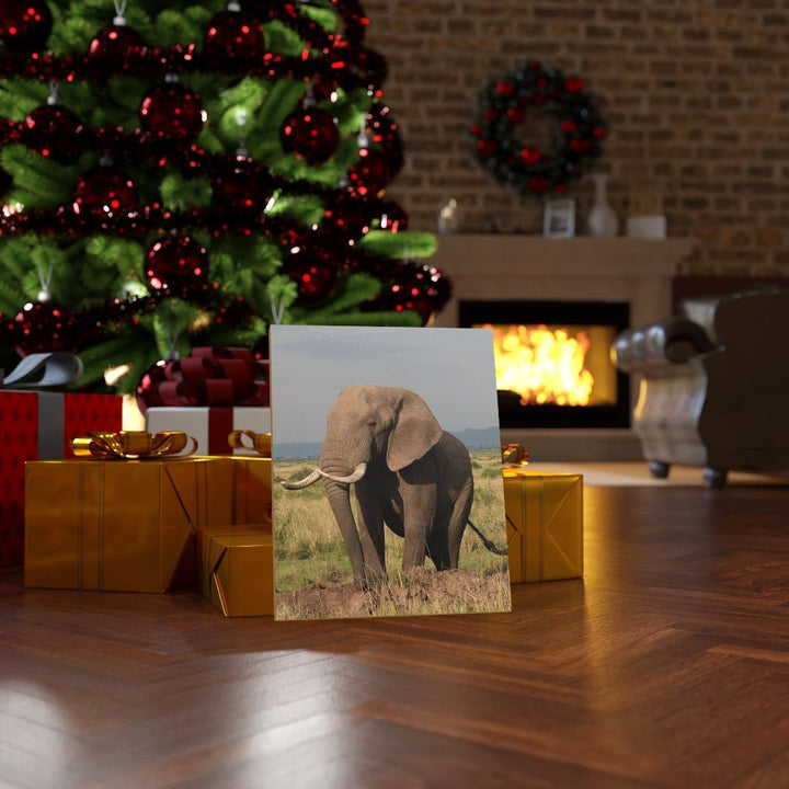 Elephant Stance - Canvas - Visiting This World