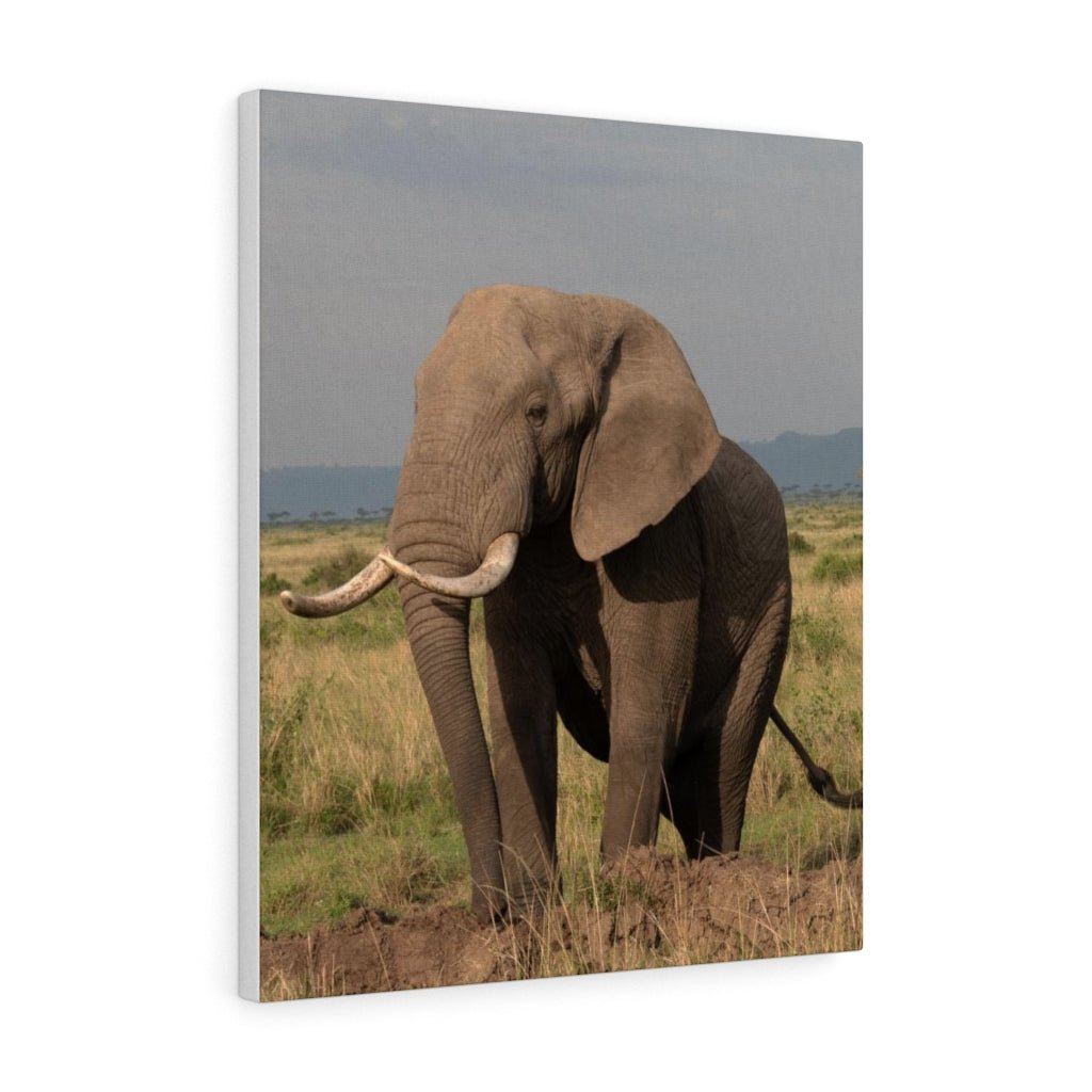 Elephant Stance - Canvas - Visiting This World