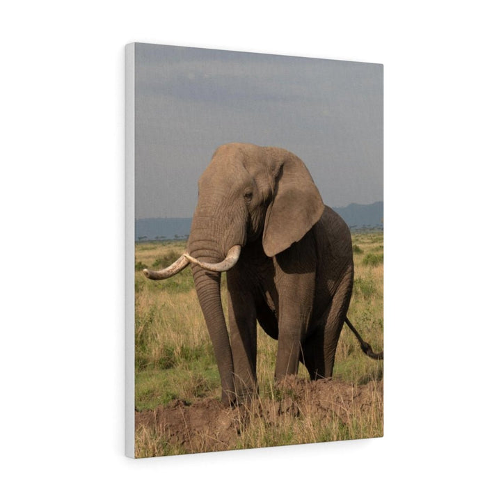 Elephant Stance - Canvas - Visiting This World