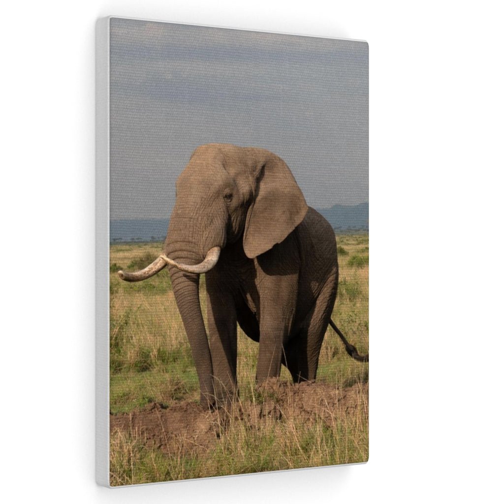 Elephant Stance - Canvas - Visiting This World