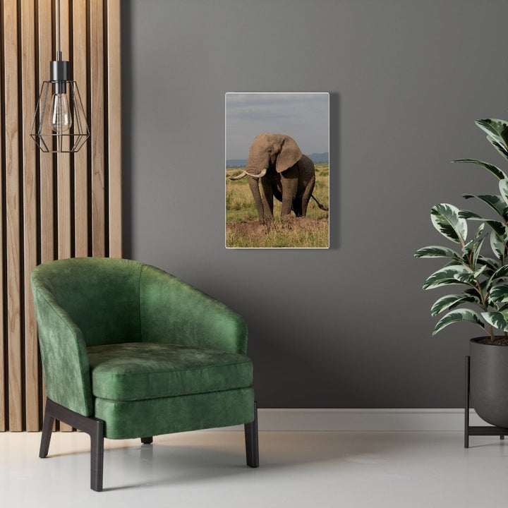 Elephant Stance - Canvas - Visiting This World