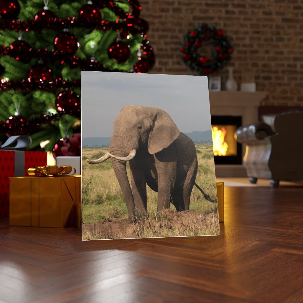 Elephant Stance - Canvas - Visiting This World