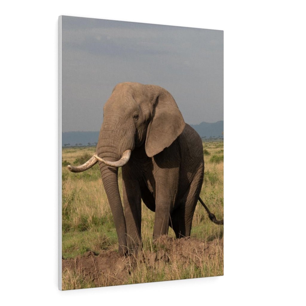 Elephant Stance - Canvas - Visiting This World