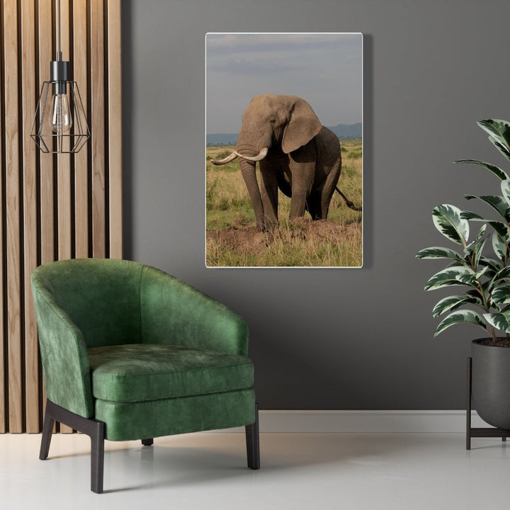 Elephant Stance - Canvas - Visiting This World