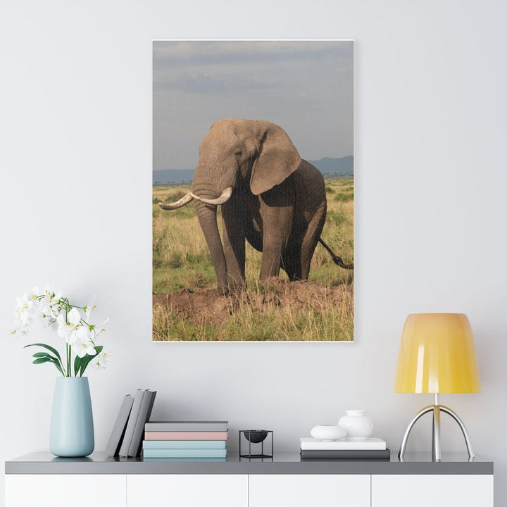 Elephant Stance - Canvas - Visiting This World