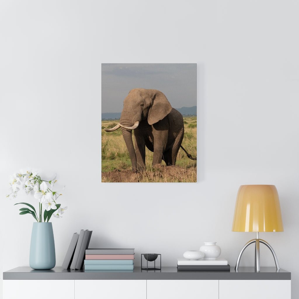 Elephant Stance - Canvas - Visiting This World