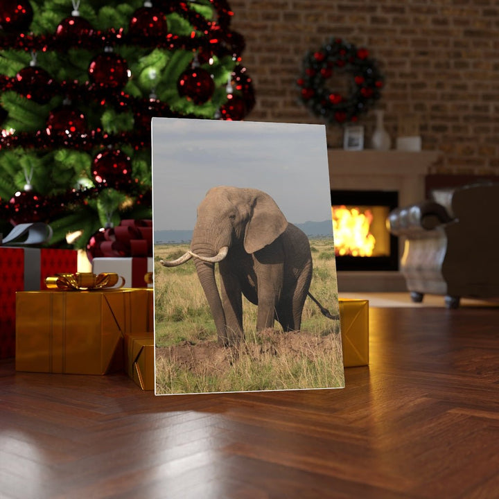 Elephant Stance - Canvas - Visiting This World