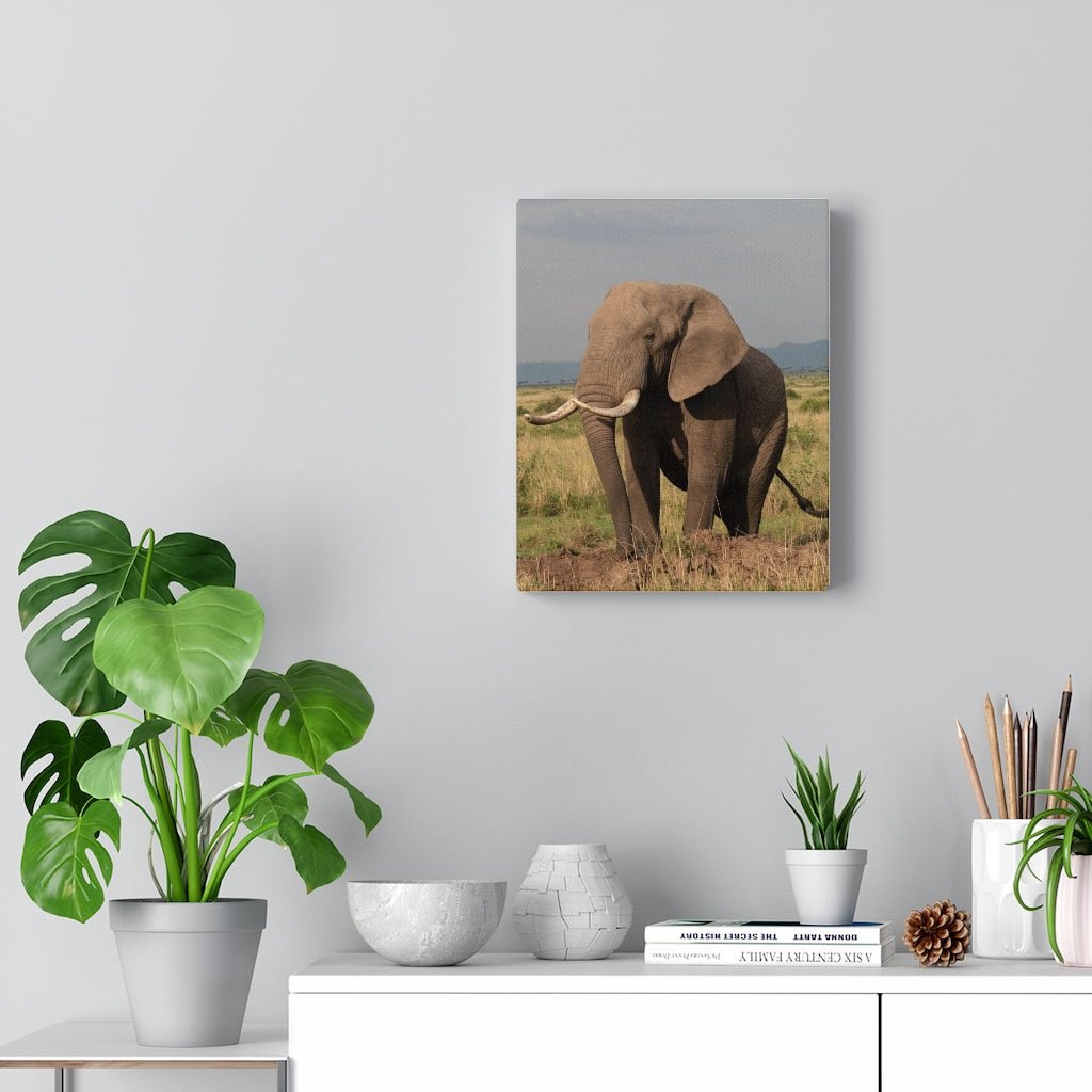 Elephant Stance - Canvas - Visiting This World