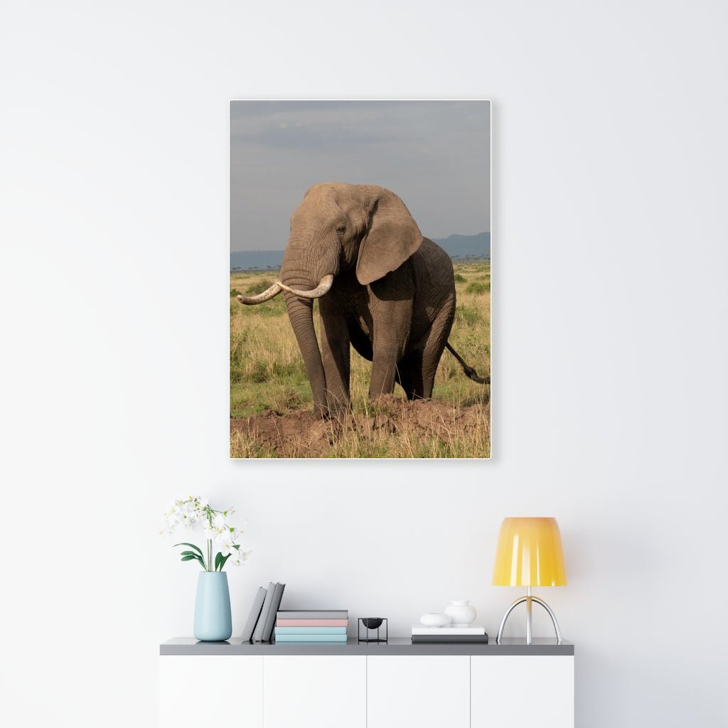 Elephant Stance - Canvas - Visiting This World