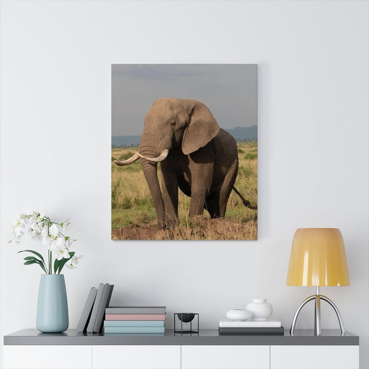 Elephant Stance - Canvas - Visiting This World