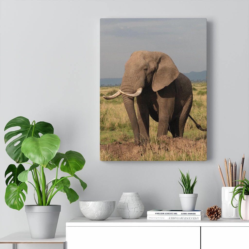 Elephant Stance - Canvas - Visiting This World