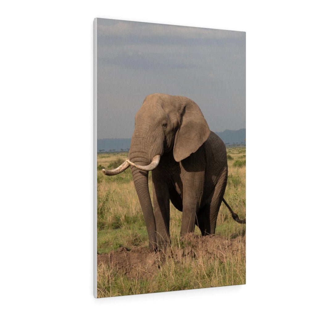 Elephant Stance - Canvas - Visiting This World