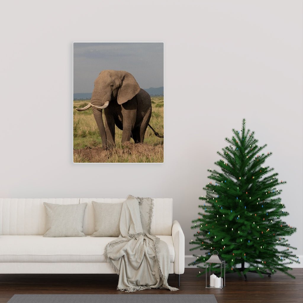 Elephant Stance - Canvas - Visiting This World