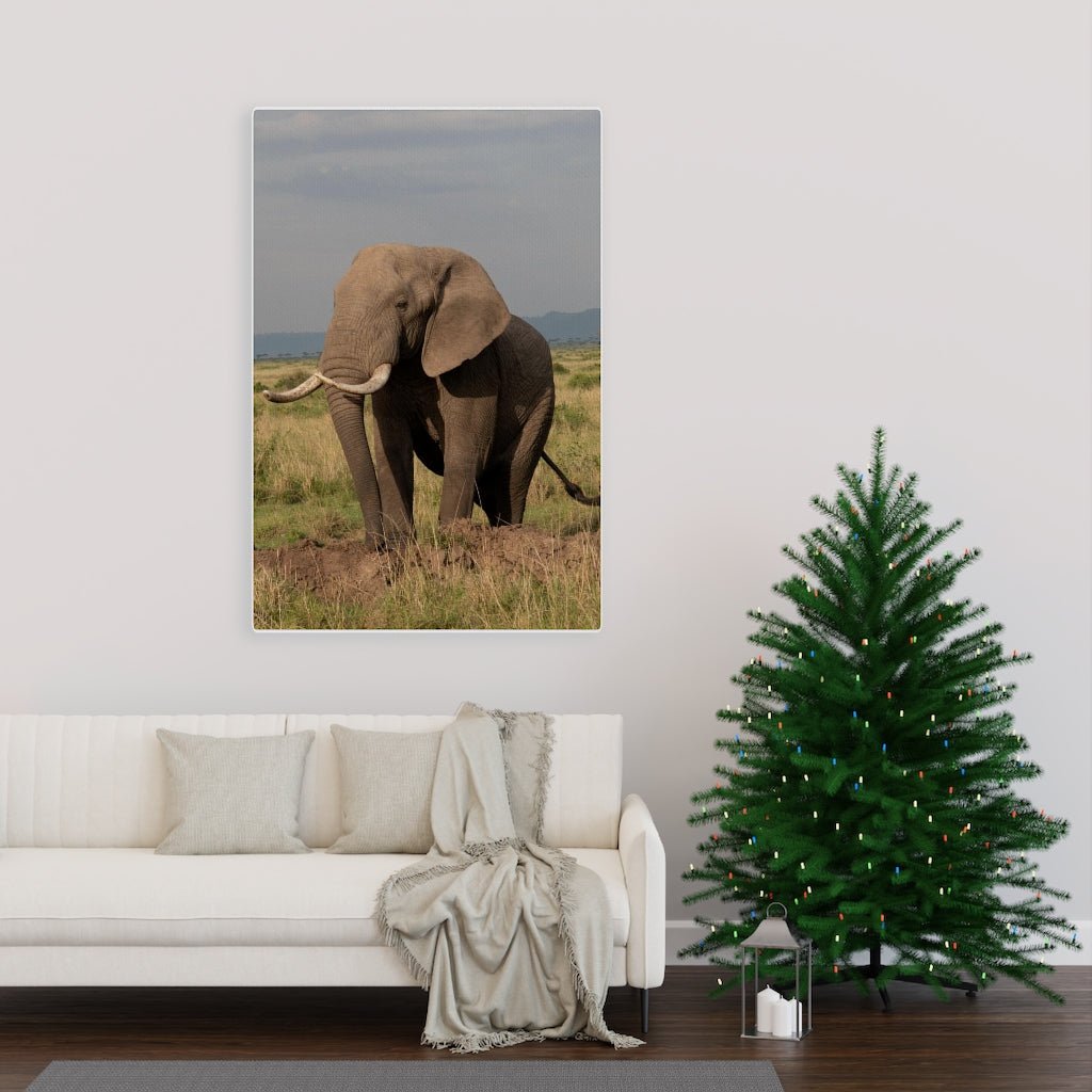 Elephant Stance - Canvas - Visiting This World