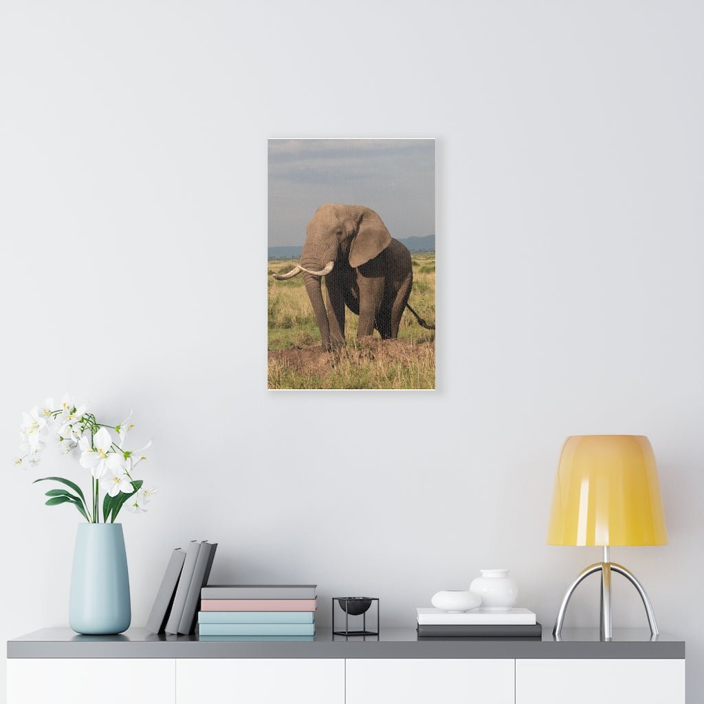 Elephant Stance - Canvas - Visiting This World