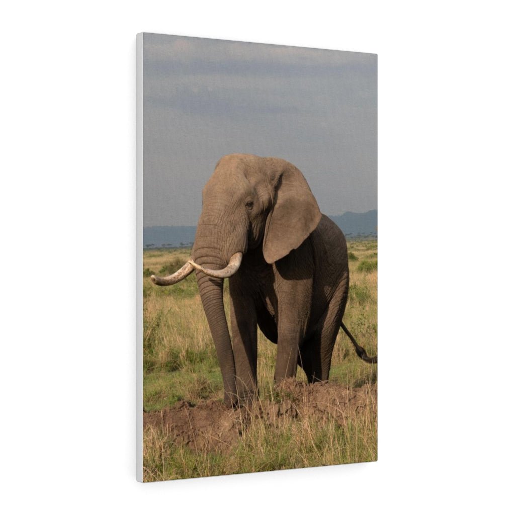 Elephant Stance - Canvas - Visiting This World