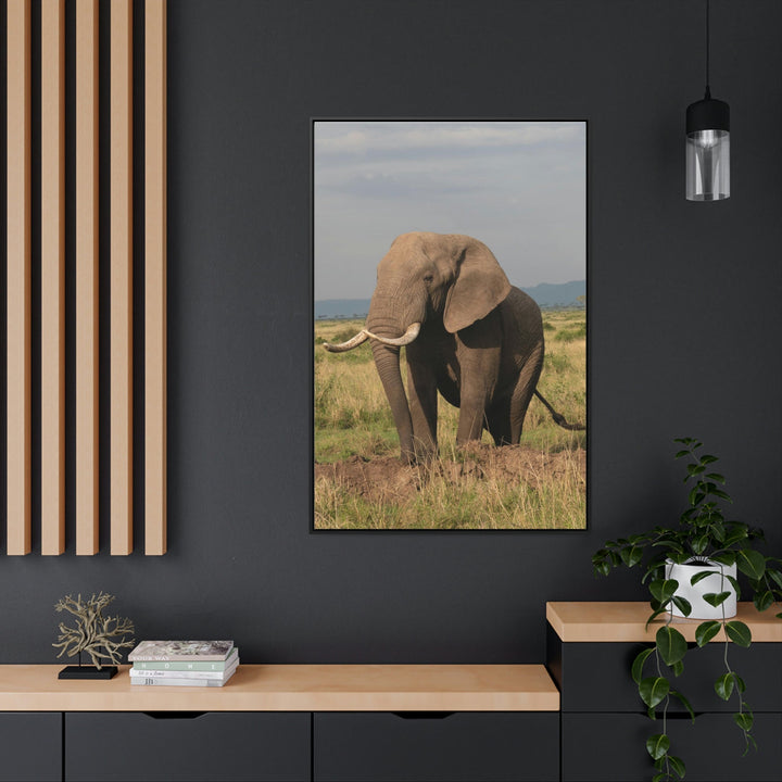 Elephant Stance - Canvas With Frame - Visiting This World