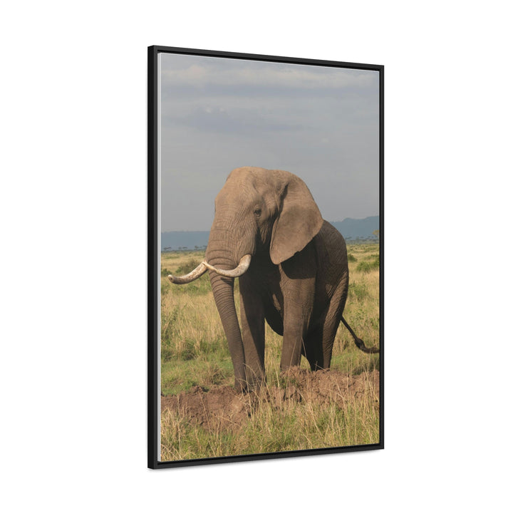 Elephant Stance - Canvas With Frame - Visiting This World