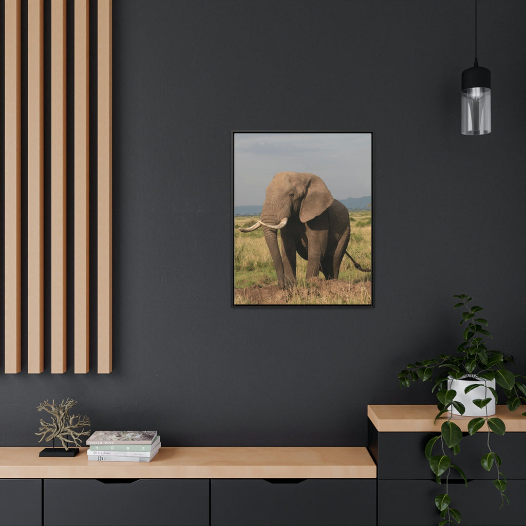 Elephant Stance - Canvas With Frame - Visiting This World