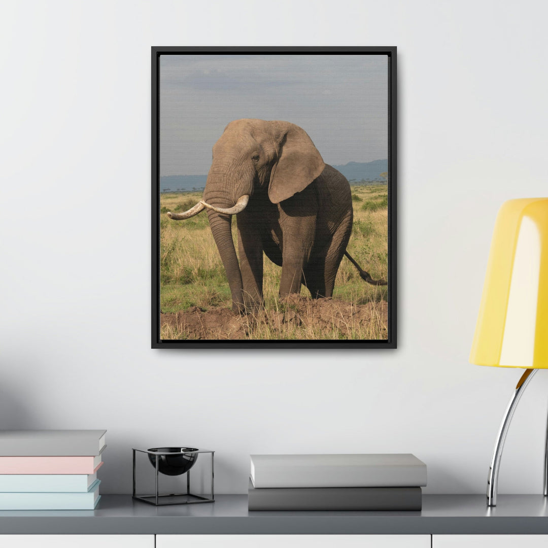 Elephant Stance - Canvas With Frame - Visiting This World