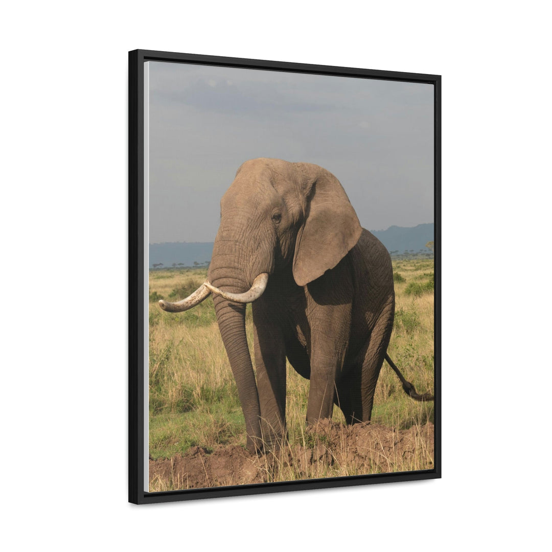 Elephant Stance - Canvas With Frame - Visiting This World