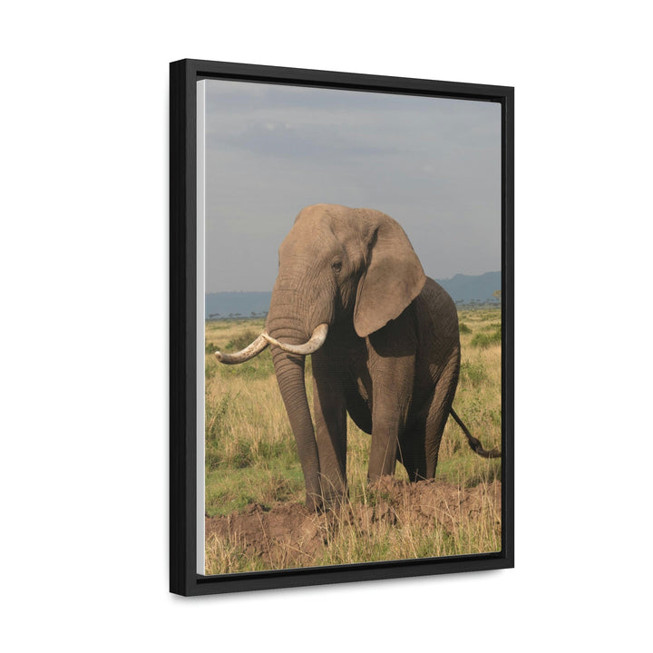 Elephant Stance - Canvas With Frame - Visiting This World