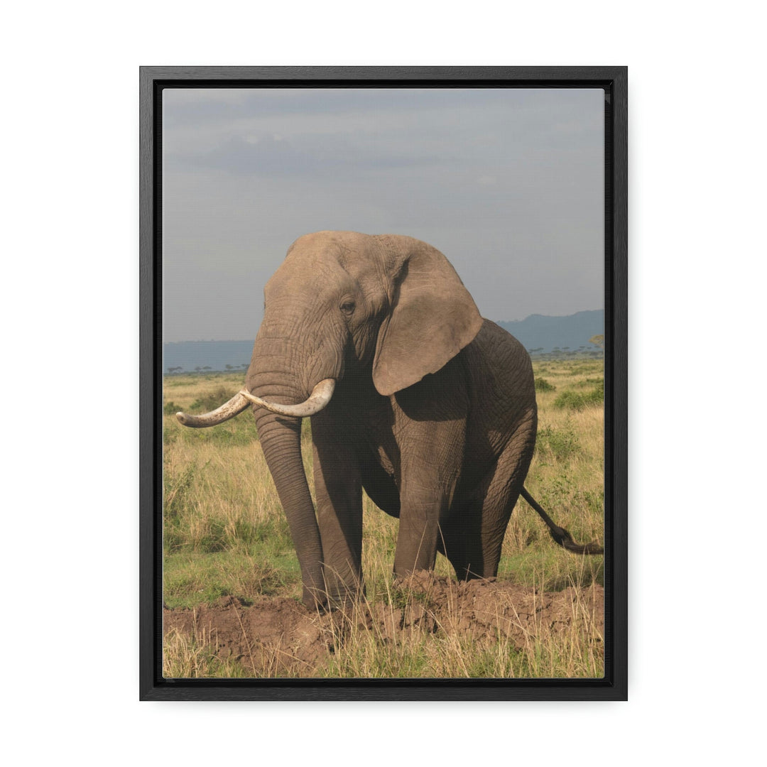 Elephant Stance - Canvas With Frame - Visiting This World