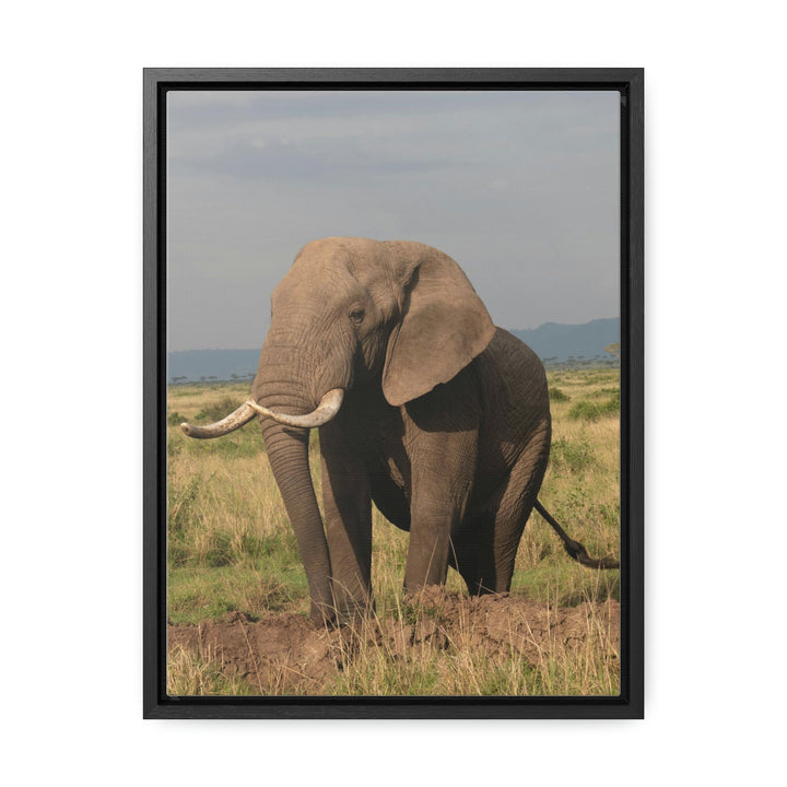 Elephant Stance - Canvas With Frame - Visiting This World