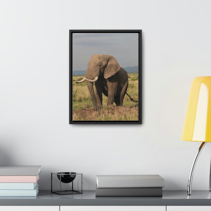 Elephant Stance - Canvas With Frame - Visiting This World