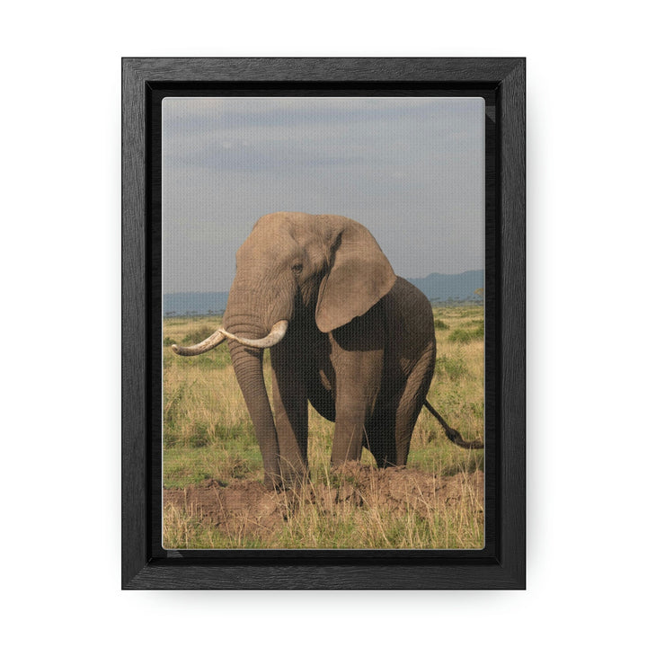 Elephant Stance - Canvas With Frame - Visiting This World