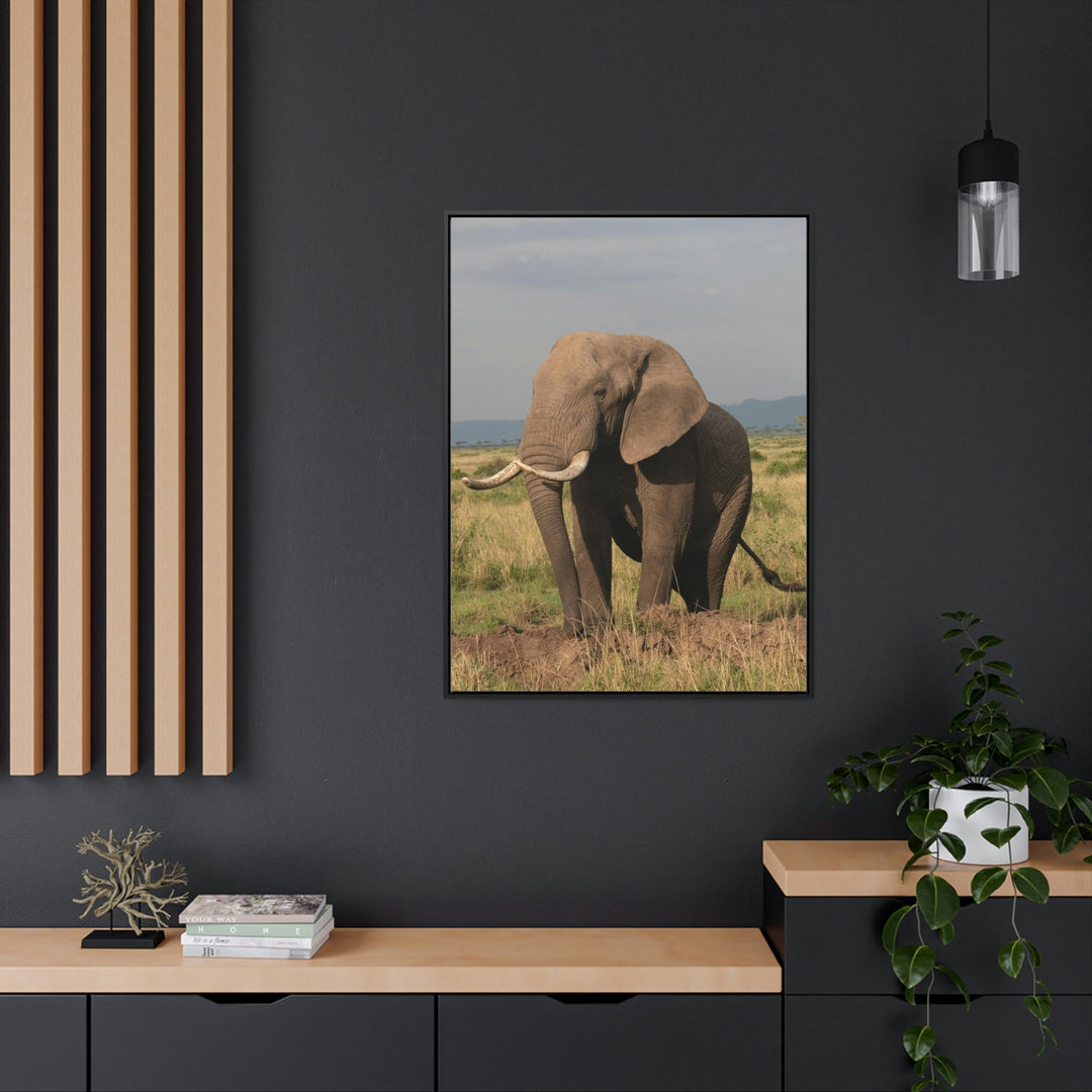 Elephant Stance - Canvas With Frame - Visiting This World