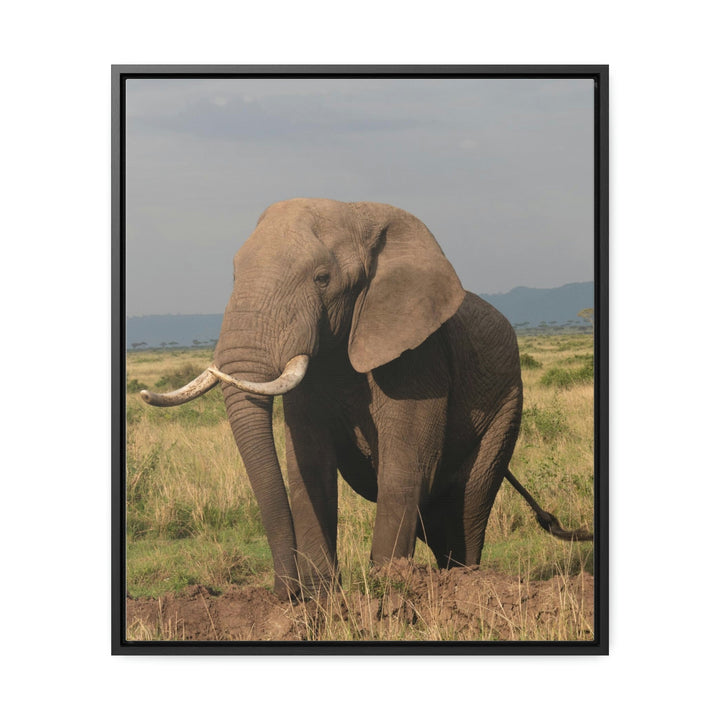 Elephant Stance - Canvas With Frame - Visiting This World