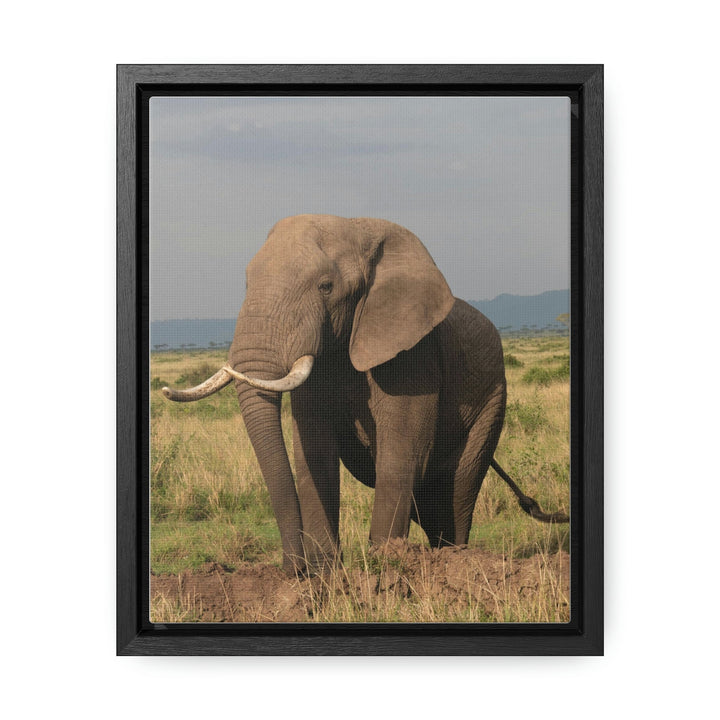 Elephant Stance - Canvas With Frame - Visiting This World