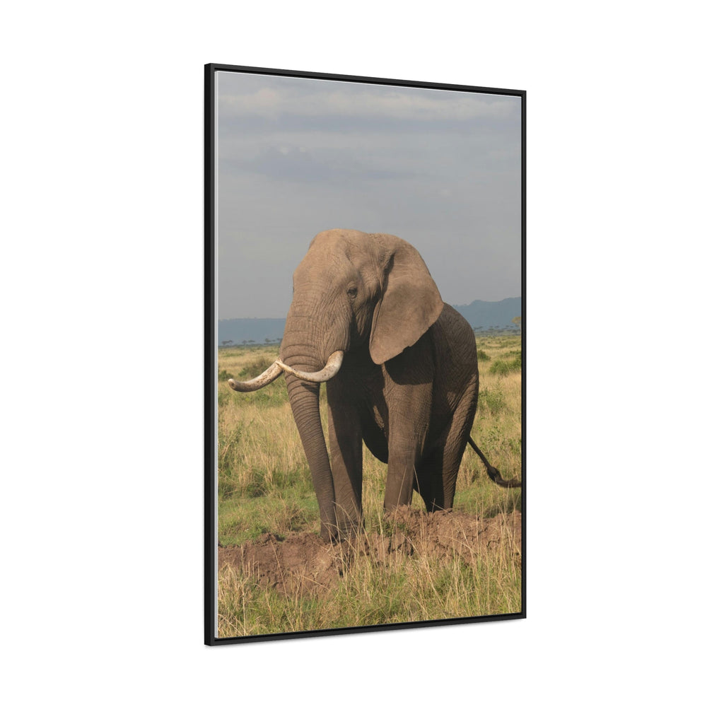 Elephant Stance - Canvas With Frame - Visiting This World