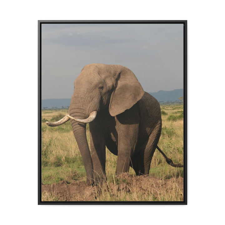 Elephant Stance - Canvas With Frame - Visiting This World