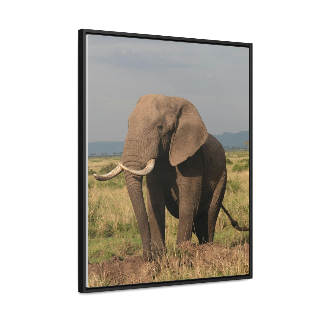 Elephant Stance - Canvas With Frame - Visiting This World