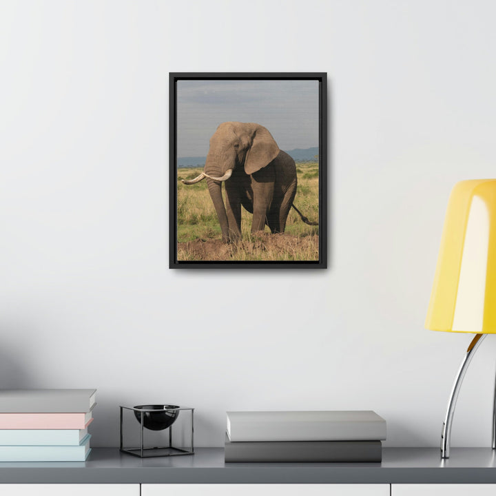 Elephant Stance - Canvas With Frame - Visiting This World