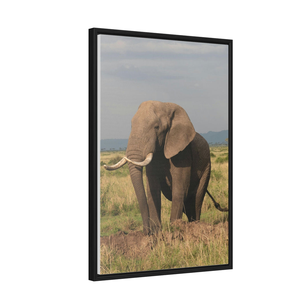 Elephant Stance - Canvas With Frame - Visiting This World