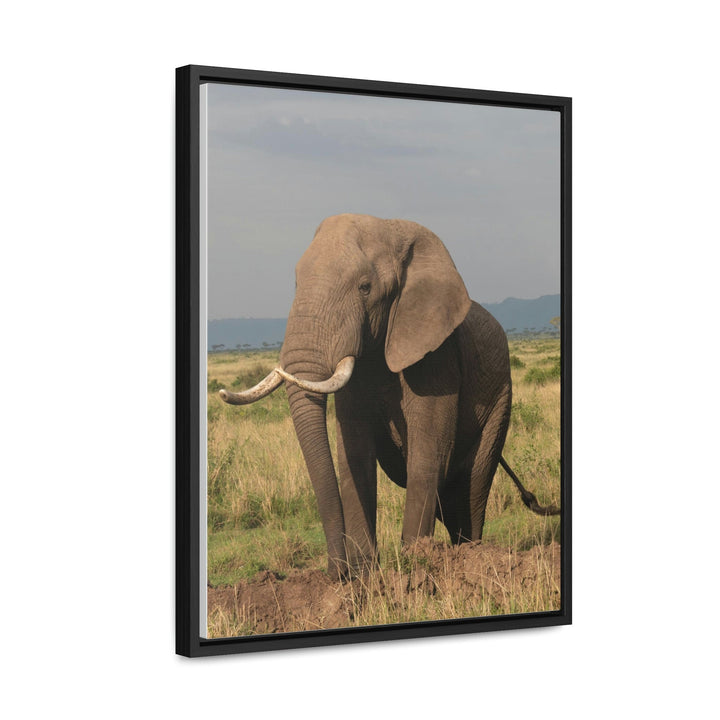 Elephant Stance - Canvas With Frame - Visiting This World