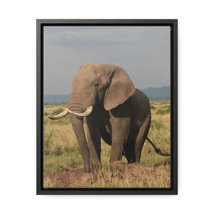 Elephant Stance - Canvas With Frame - Visiting This World